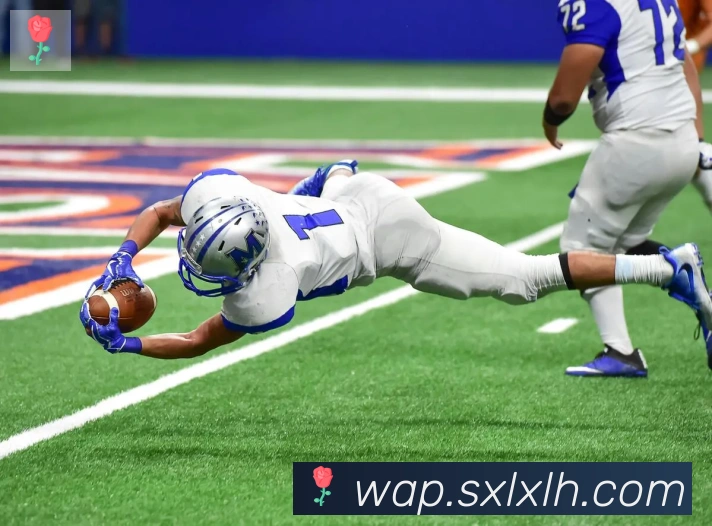 开云kaiyun官网荣誉