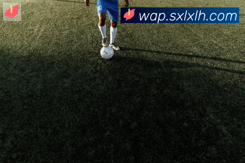 开云kaiyun官网荣誉